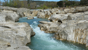 Traitement punaises de lit La Roche-sur-Yon